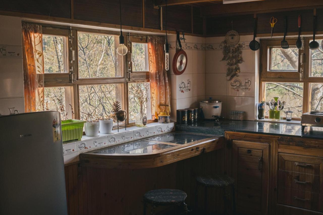 Gharsa - Your Mountain Home Manāli エクステリア 写真