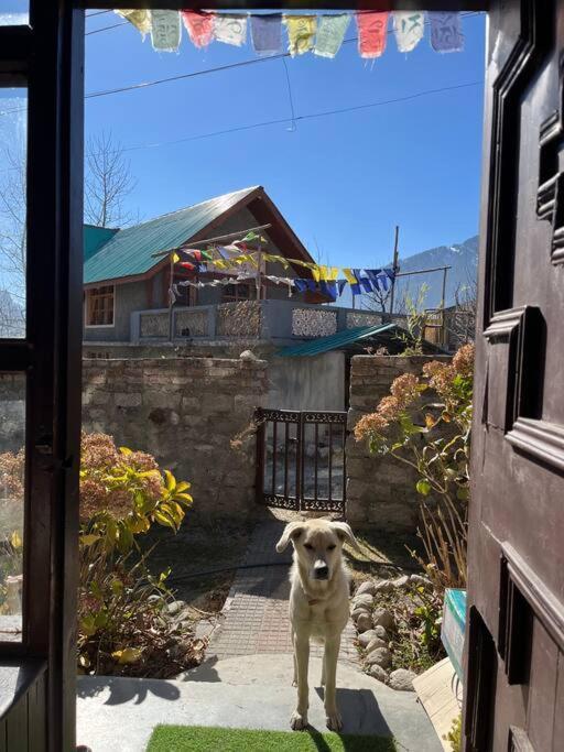 Gharsa - Your Mountain Home Manāli エクステリア 写真